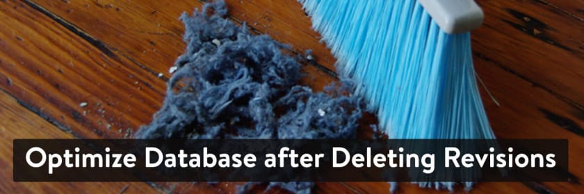 Optimize Database after Deleting Revisions